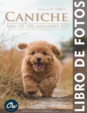 Caniche