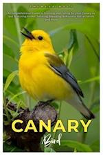 Canary Bird