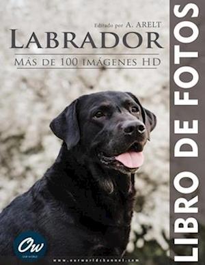 Labrador