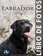 Labrador