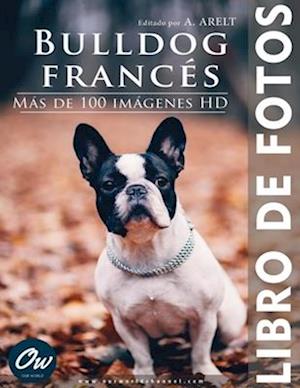 Bulldog francés