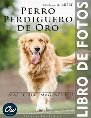 Perro Perdiguero de Oro