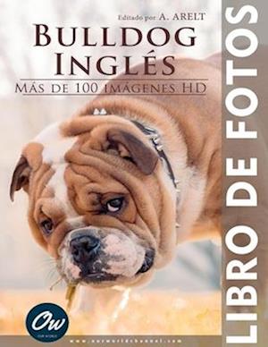 Bulldog inglés