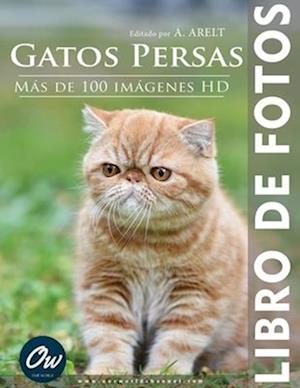 Gatos Persas