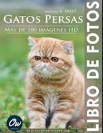 Gatos Persas