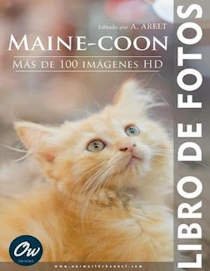 Maine-coon