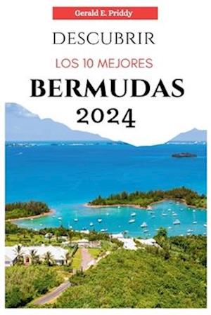 Descubrir Los 10 Mejores Bermudas 2024