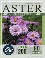 Aster