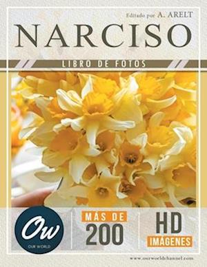 Narciso