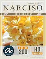 Narciso