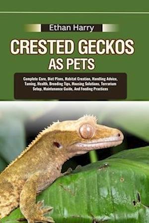 Crested Geckos as Pets