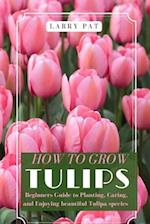 How to Grow Tulips