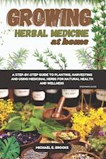 Growing Herbal Medicine At Home For Beginners