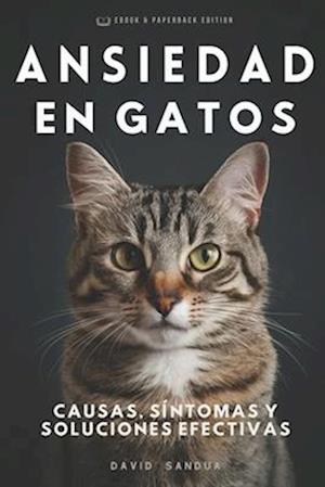 Ansiedad En Gatos