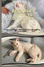 A Beginner's Guide to Devon Rex Cats