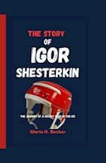 The Story of Igor Shesterkin