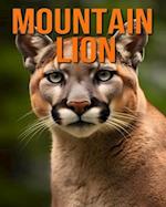 Mountain Lion