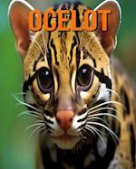 Ocelot