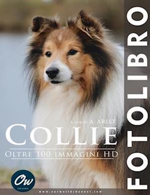 Collie