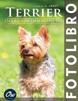 Terrier