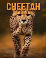 Cheetah