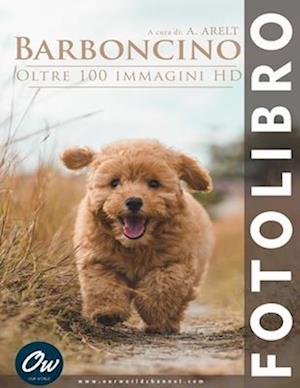 Barboncino