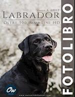 Labrador