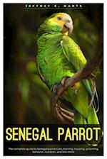 Senegal Parrot