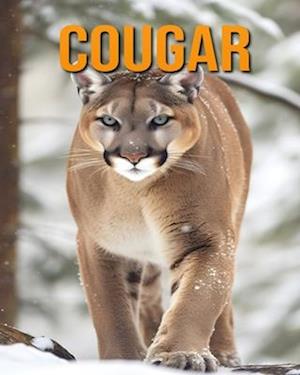 Cougar