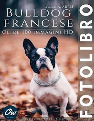 Bulldog francese