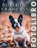 Bulldog francese