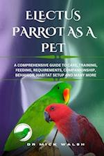 Electus Parrot as a Pet