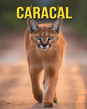 Caracal