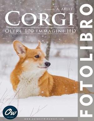 Corgi