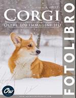 Corgi