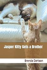 Jasper Kitty Gets a Brother