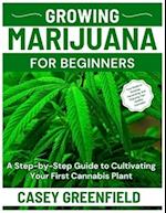 Growing Marijuana for Beginners