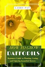 How to Grow Daffodils