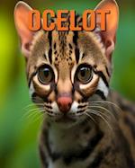 Ocelot