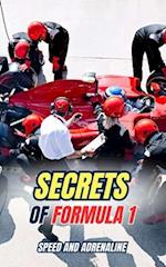 Secrets of Formula 1