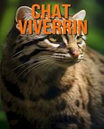 Chat Viverrin