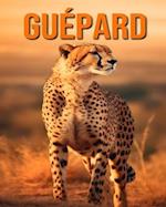 Guépard