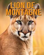 Lion de Montagne