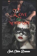 Love Is Never Late