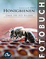 Honigbienen