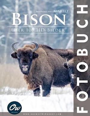 Bison