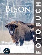 Bison