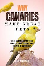 Why Canaries Make Great Pets