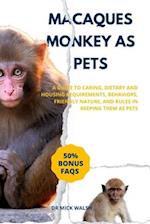 Macaques Monkey as Pets