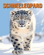 Schneeleopard